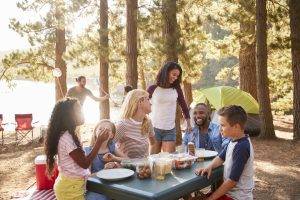 Une faille qui pique-nique au camping