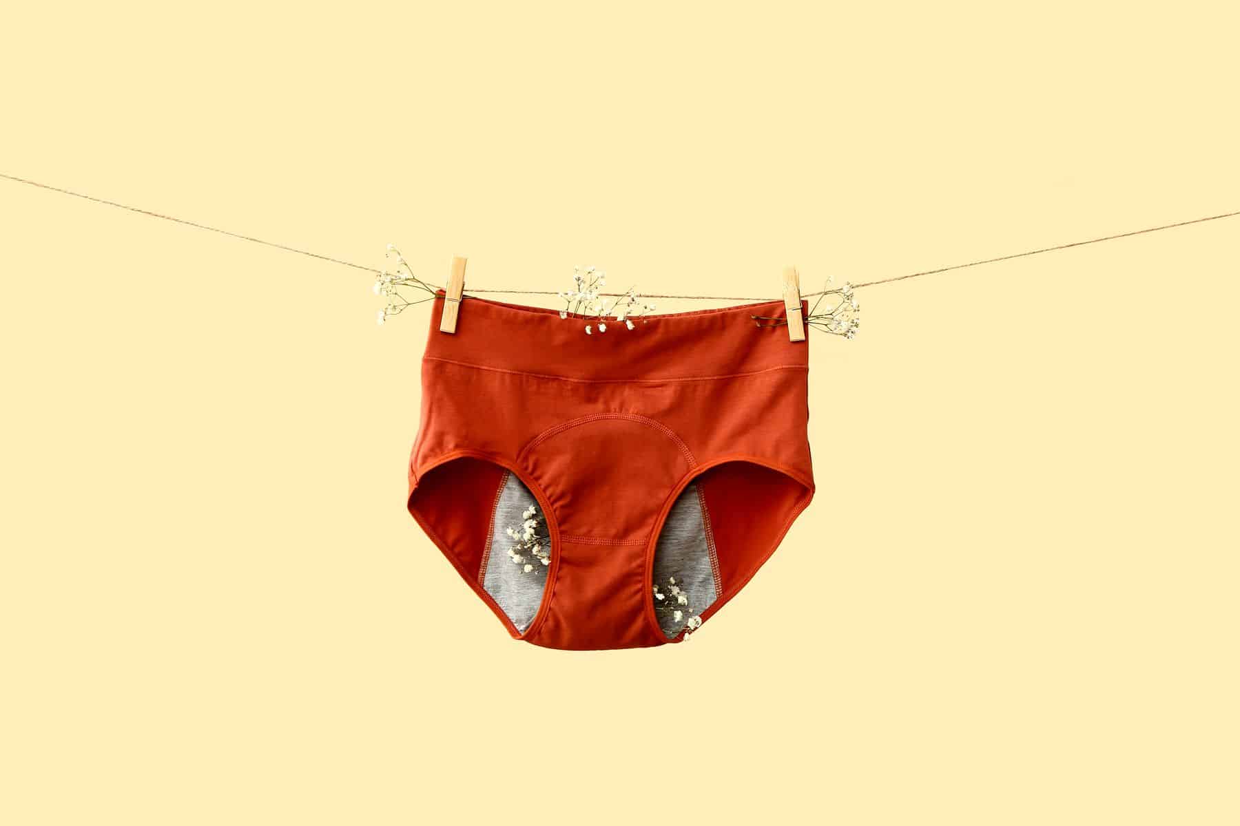 culotte menstruelle