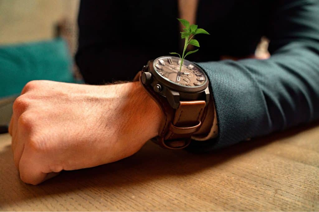 montre écologique tendance