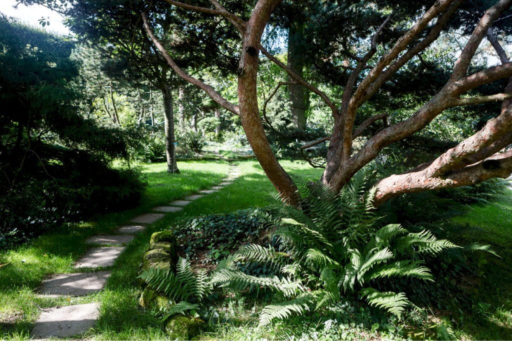 Arboretum de la Vallée-aux-Loups