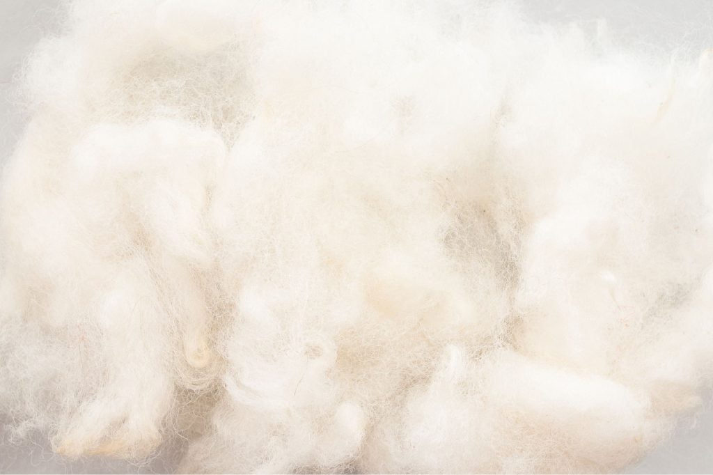 poils pour fabriquer le cachemire