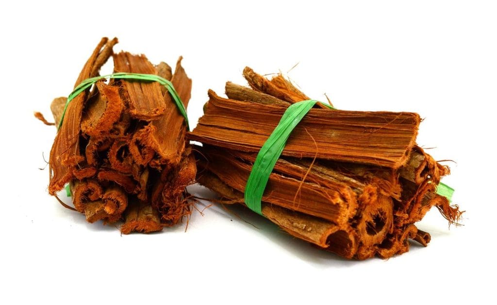 bois de Uncaria tomentosa