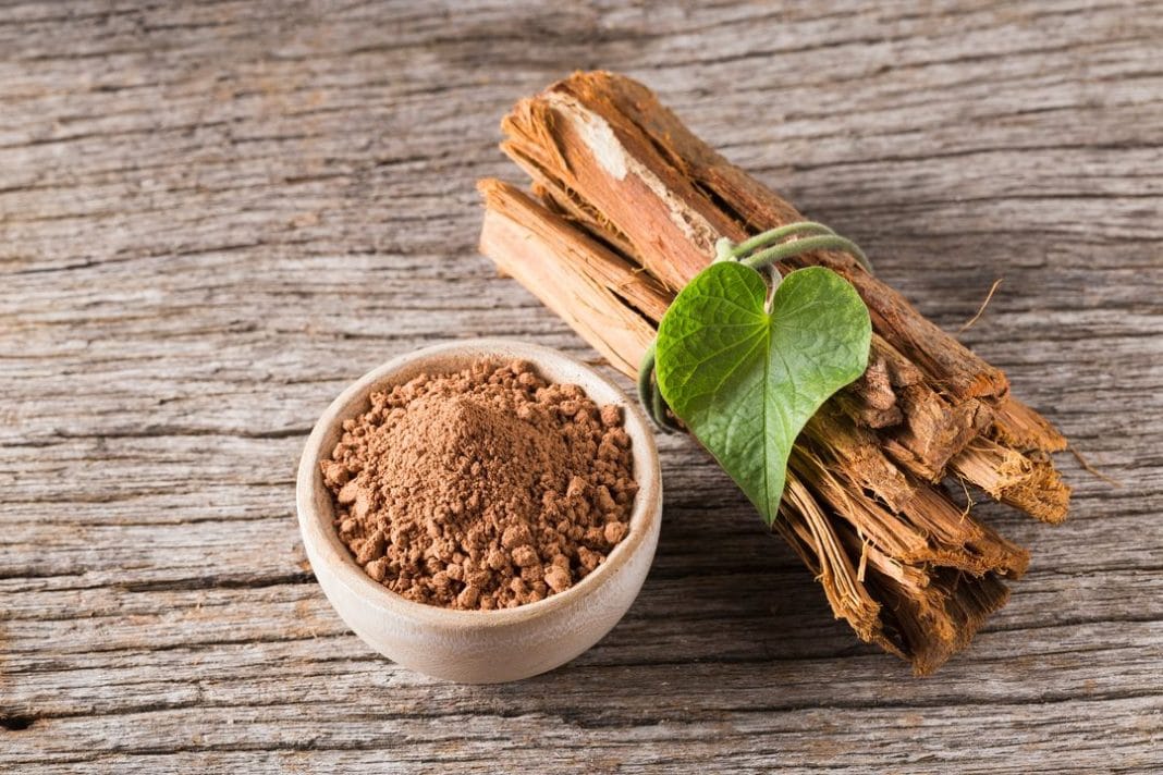 bark and powder of medicinal plant cat's claw, uncaria tomentosa extrait de Uncaria tomentosa